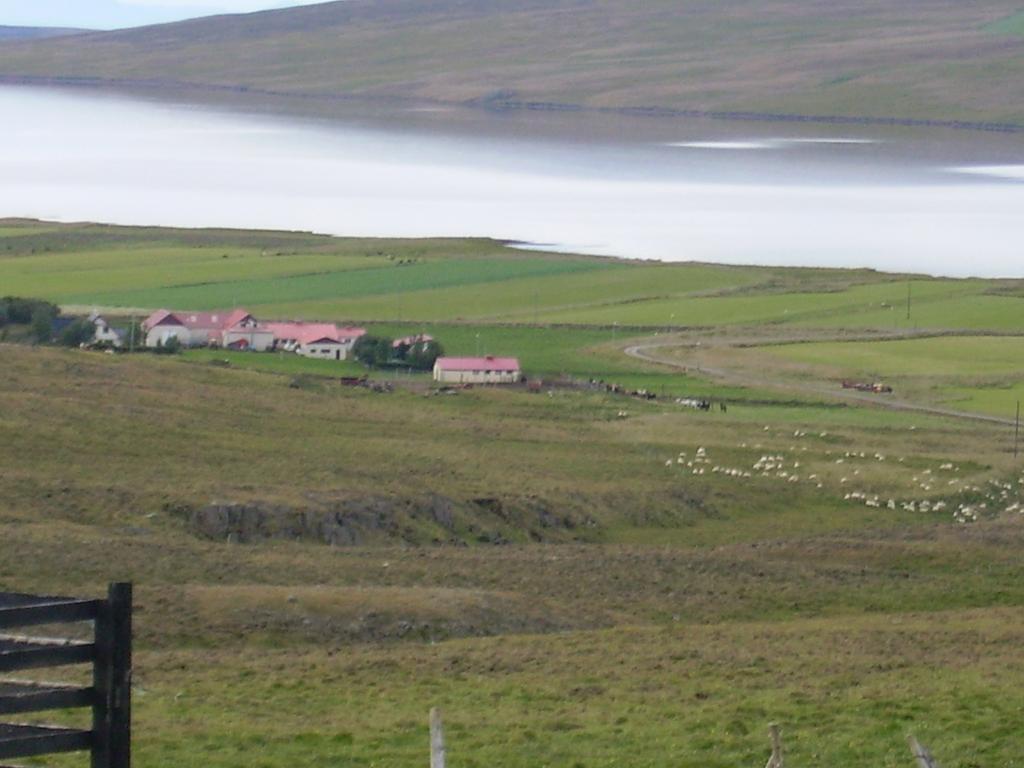 Stekkjardalur Holiday Home Svínavatn Dış mekan fotoğraf
